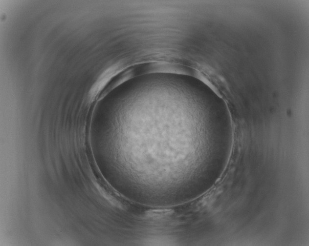 X0000062890051200601201856