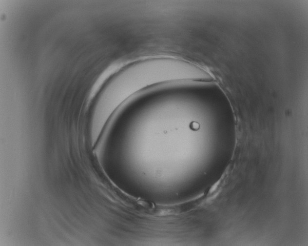 X0000062890056200601201856