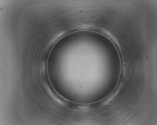 X0000062890057200601201856