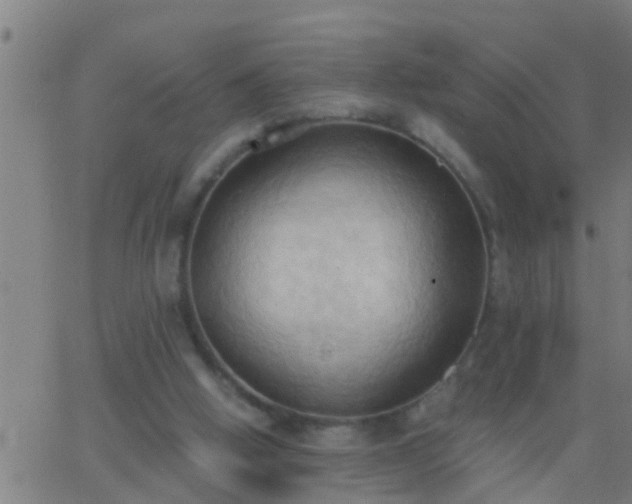 X0000062890058200601201856