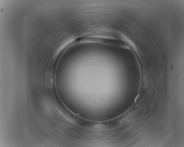 X0000062890059200601201856