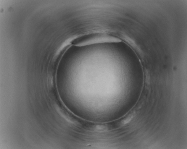 X0000062890060200601201856