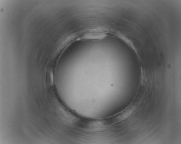 X0000062890061200601201856