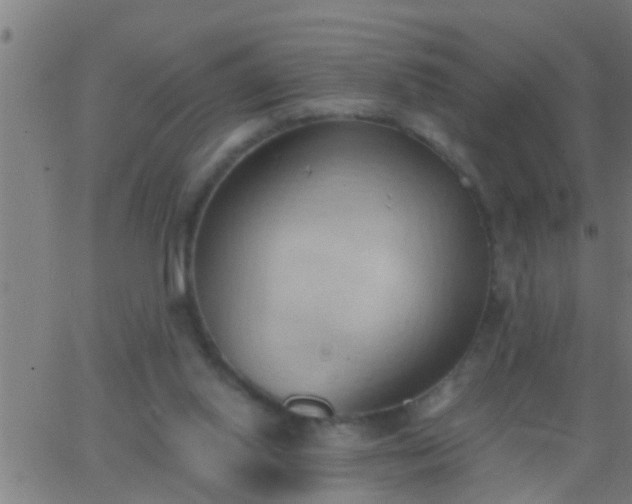 X0000062890062200601201856