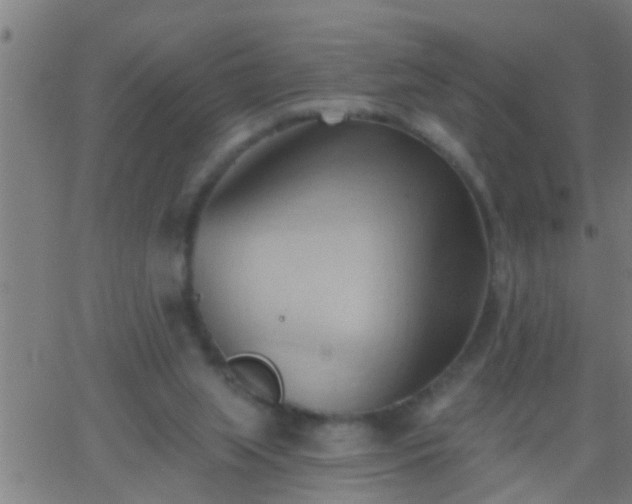 X0000062890063200601201856