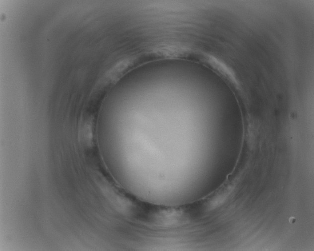 X0000062890065200601201856