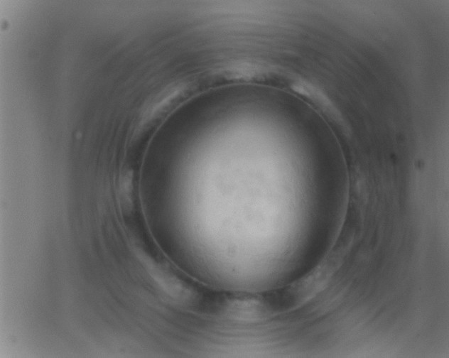 X0000062890066200601201856