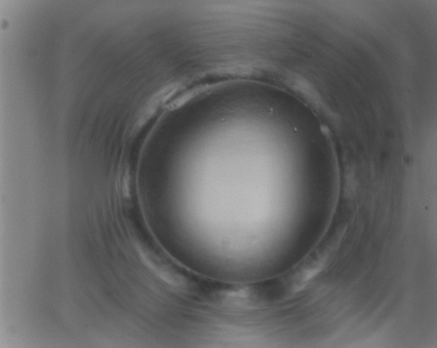 X0000062890068200601201856