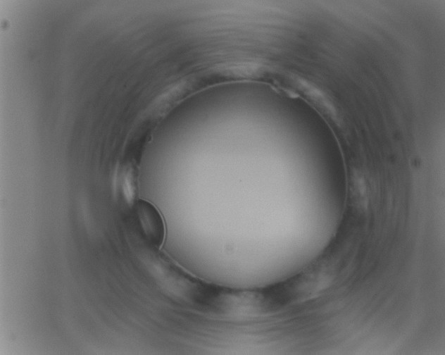 X0000062890069200601201856