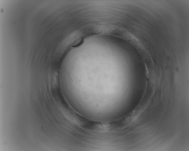 X0000062890071200601201856