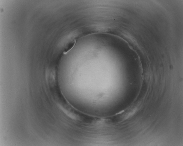 X0000062890072200601201856