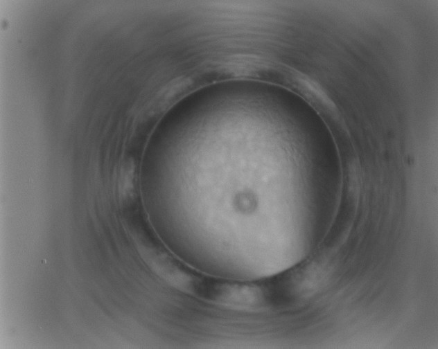 X0000062890073200601201856