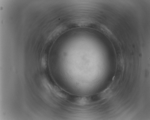 X0000062890074200601201856