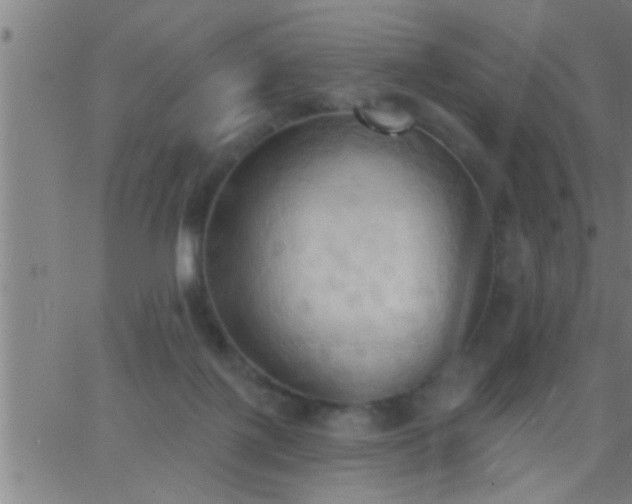 X0000062890075200601201856