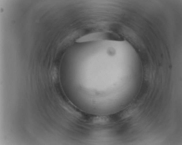 X0000062890077200601201856