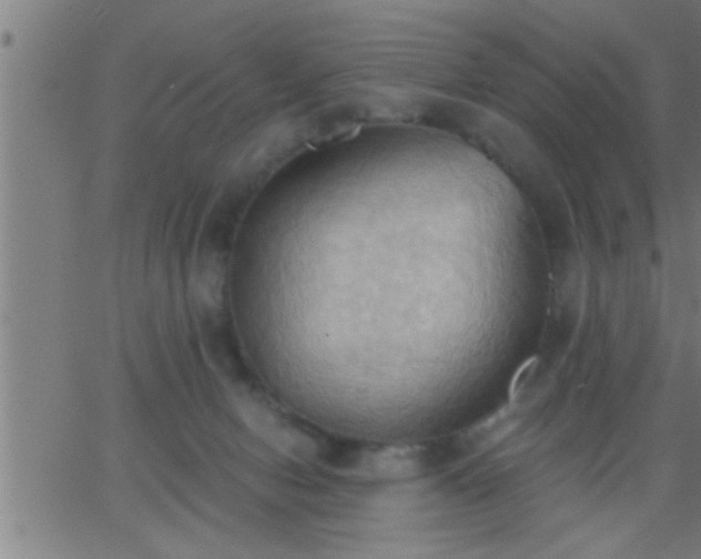 X0000062890078200601201856