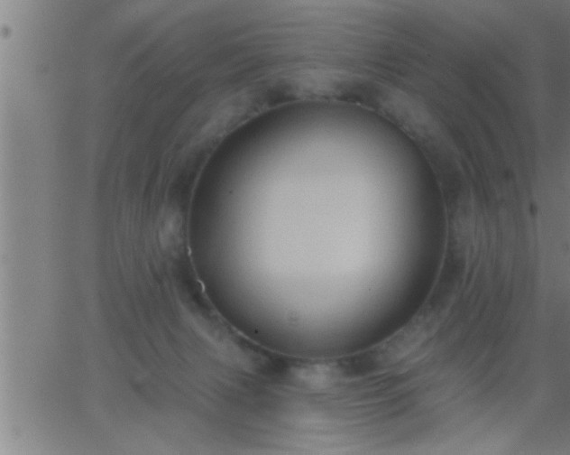 X0000062890079200601201856