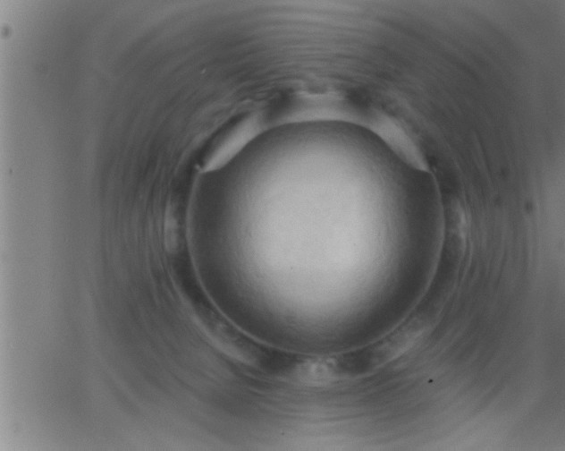 X0000062890080200601201856