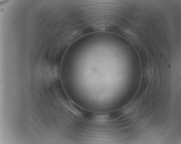 X0000062890081200601201856