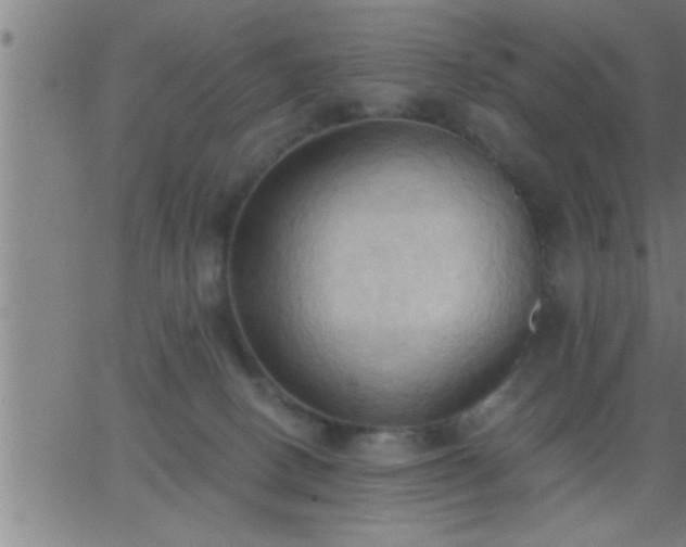 X0000062890082200601201856