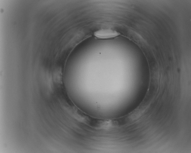 X0000062890083200601201856