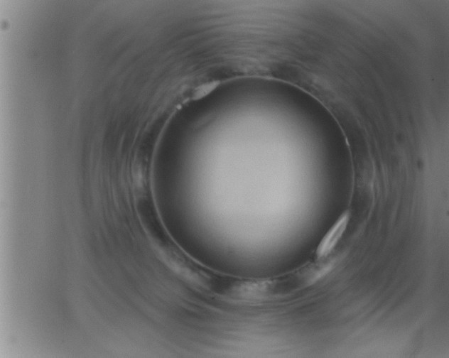 X0000062890084200601201856