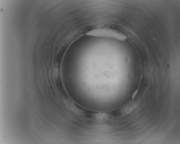 X0000062890085200601201856