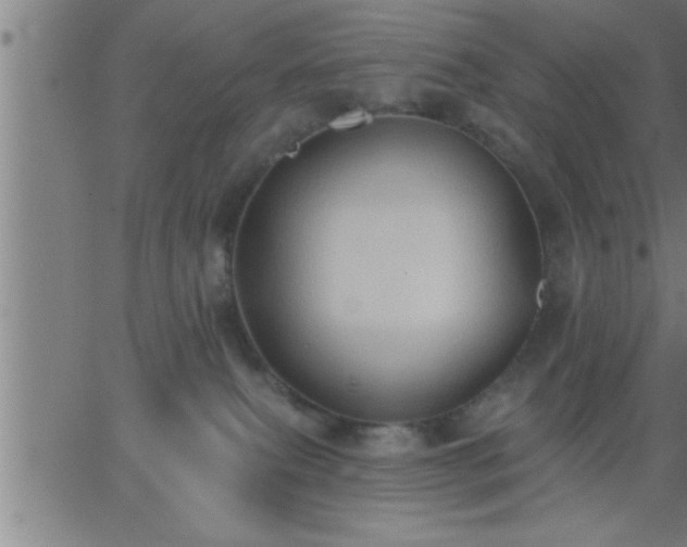 X0000062890087200601201856