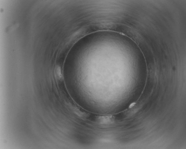 X0000062890089200601201856