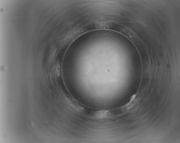 X0000062890090200601201856