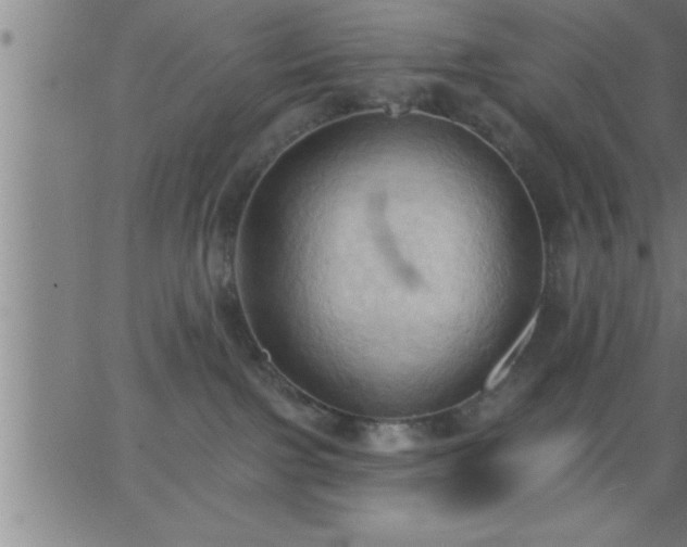 X0000062890091200601201856