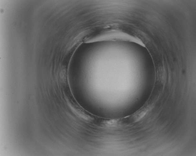 X0000062890092200601201856