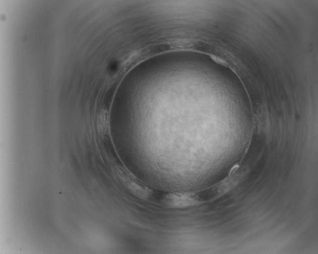 X0000062890093200601201856