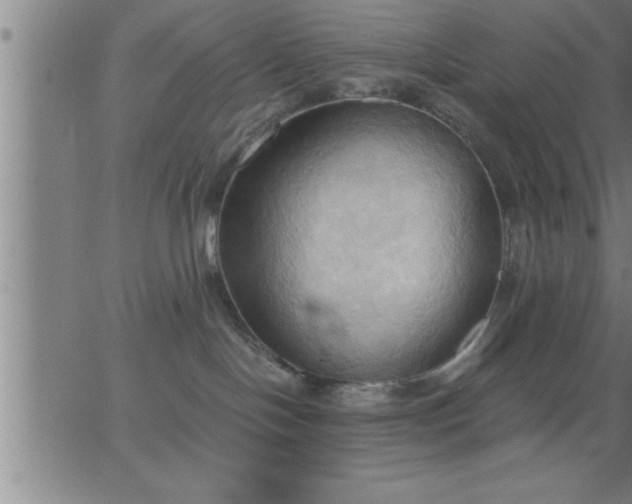 X0000062890094200601201856