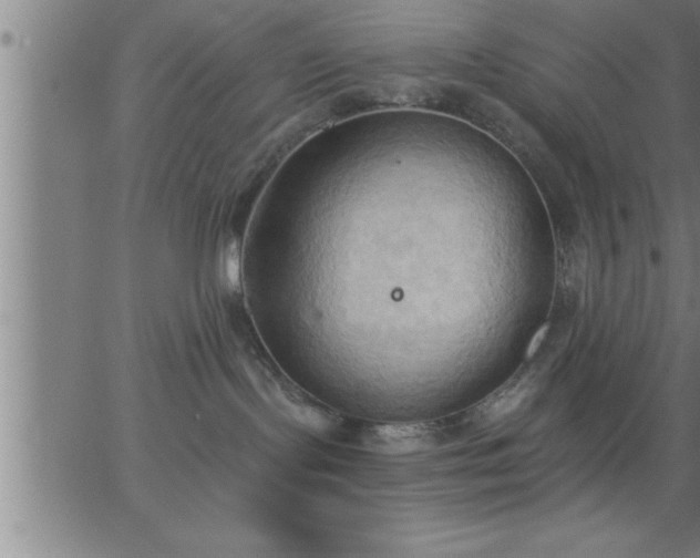 X0000062890095200601201856