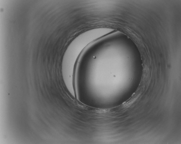 X0000062890096200601201857