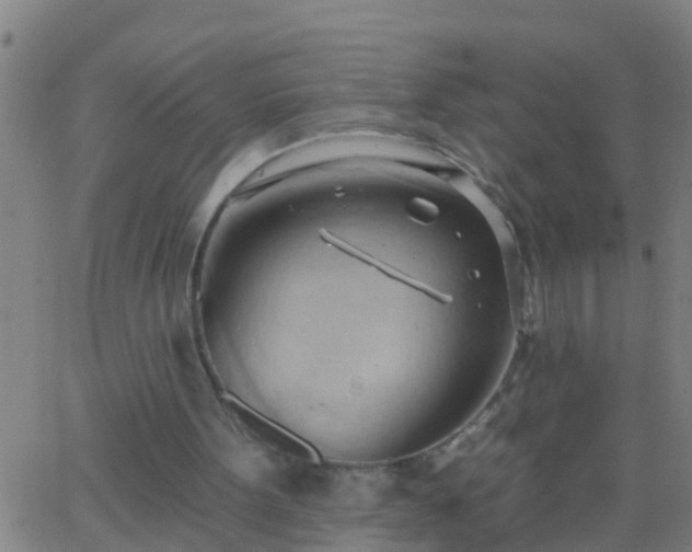 X0000062890099200601201856