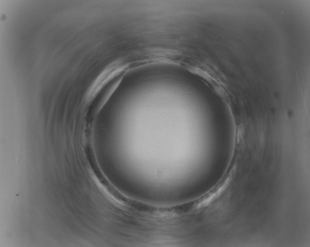 X0000062890101200601201856