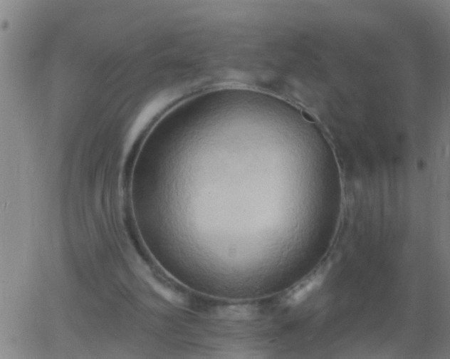 X0000062890102200601201856