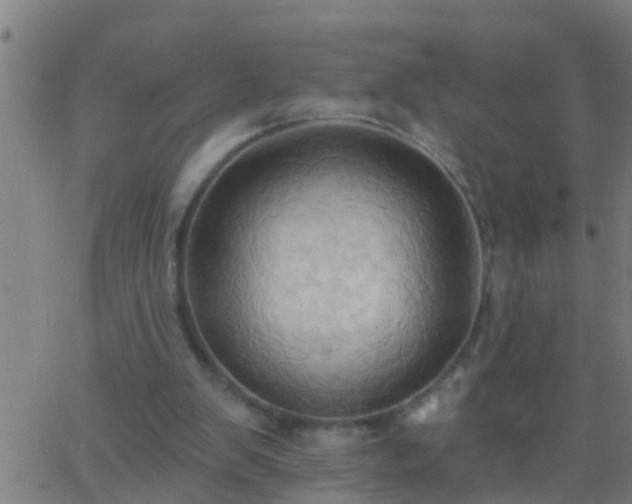 X0000062890103200601201856