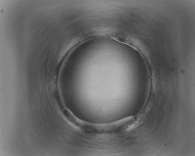 X0000062890105200601201856