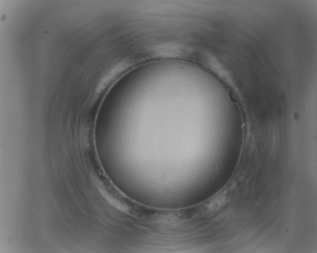 X0000062890106200601201856