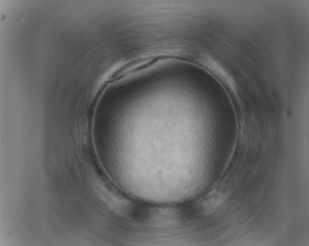 X0000062890107200601201856