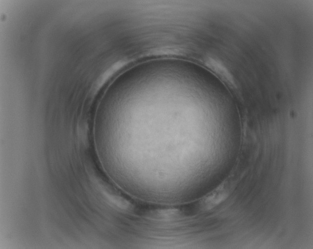 X0000062890108200601201856