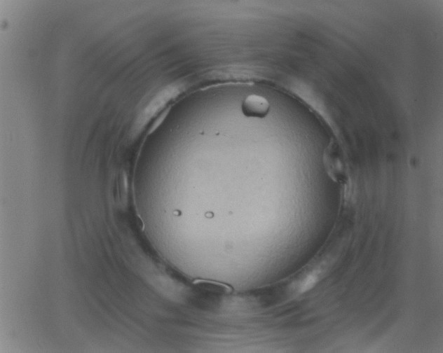 X0000062890109200601201856