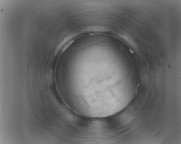 X0000062890111200601201855