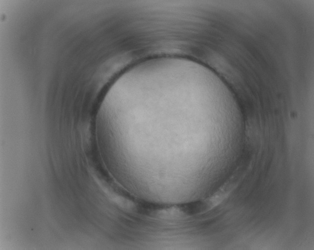 X0000062890112200601201855