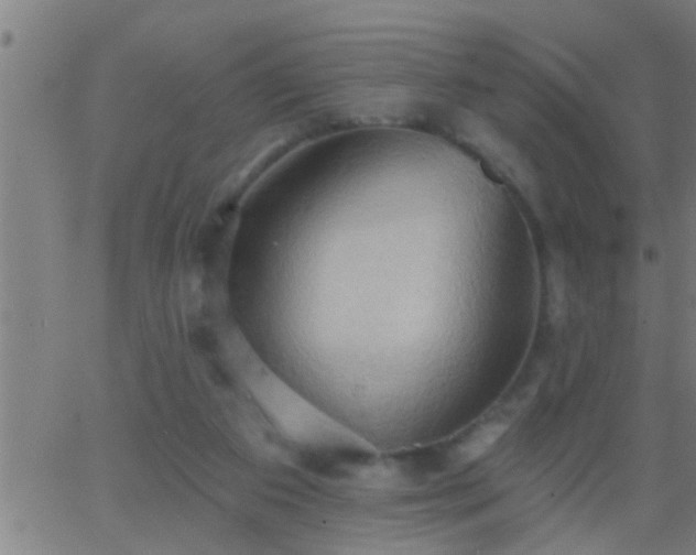 X0000062890113200601201855