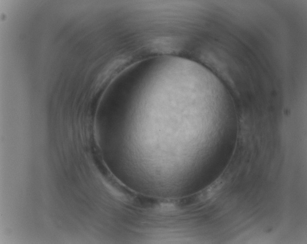 X0000062890114200601201855