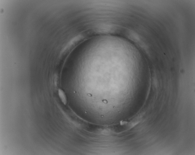 X0000062890115200601201855